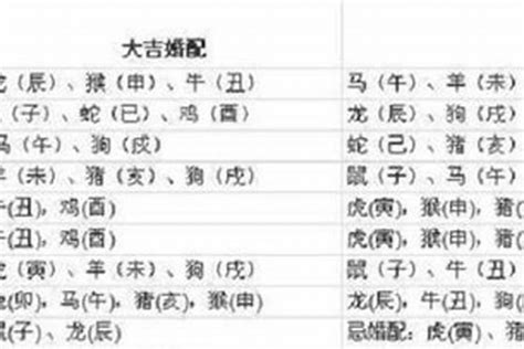 1997年 生肖|97年属什么 97年属什么命